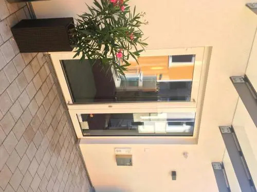 Balcony & Terrace