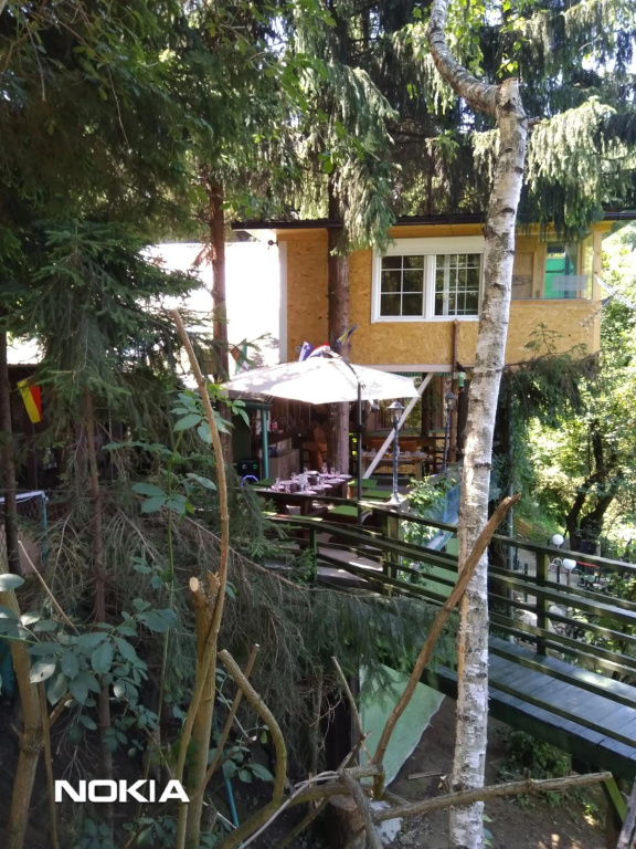 tree house — 4