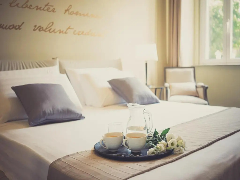 Deluxe Double room (full double bed)