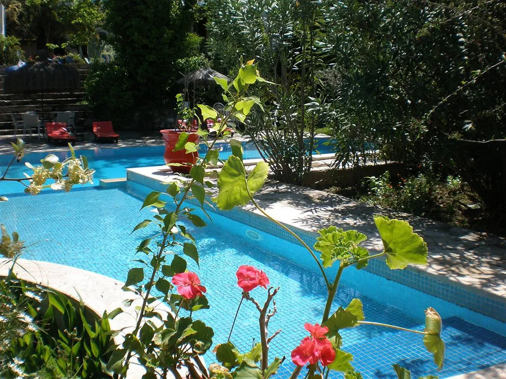 Bakkhos Guesthouse - Général