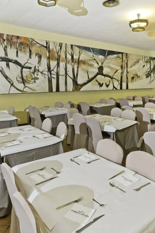 Hotel Snö Condes del Pallars - Général
