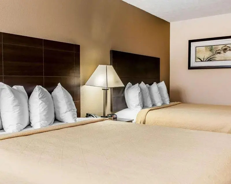 Quality Inn & Suites  Mattoon Area - Chambres