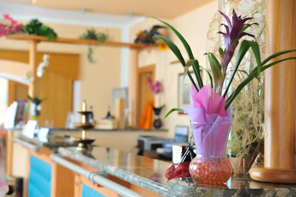 Hotel Agli Ulivi - Général