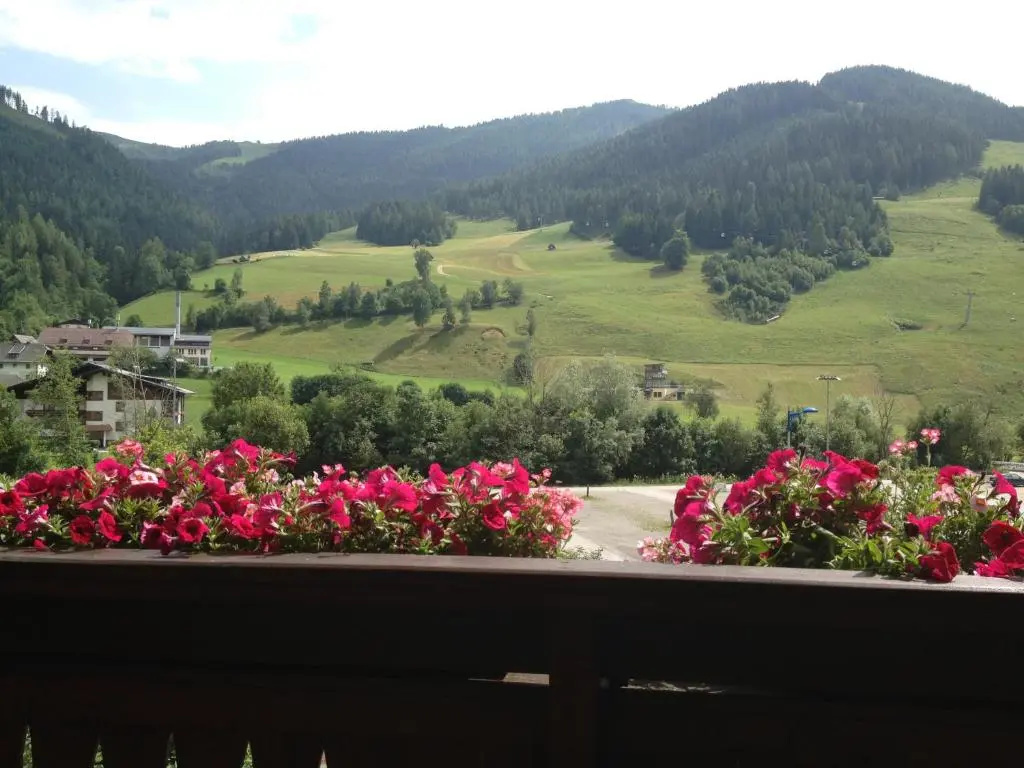 Pension Bräuhaus - Chambres