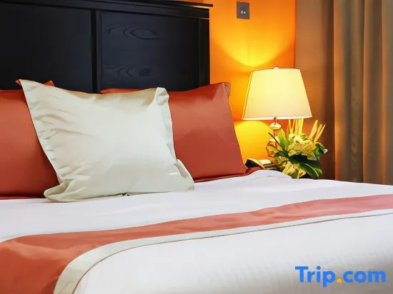 一臥室豪華三人套房，配備一張加大雙人床