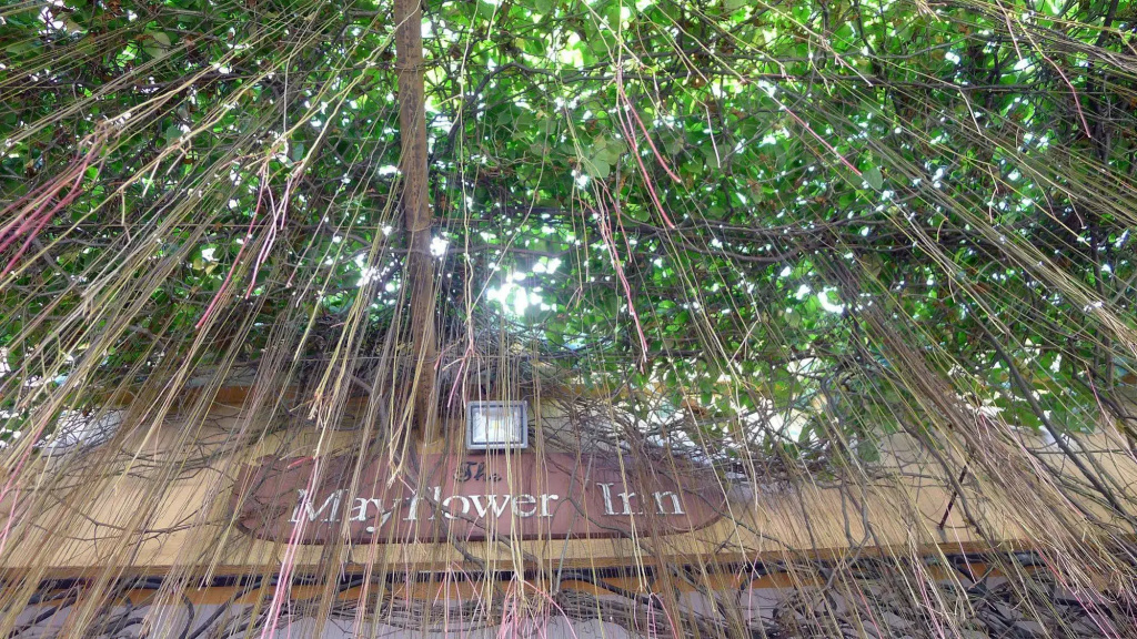 The Mayflower Inn - Général