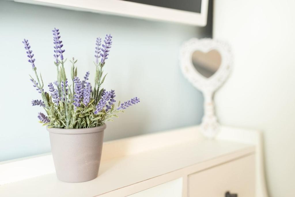 Siel Seaside Boutique Homes