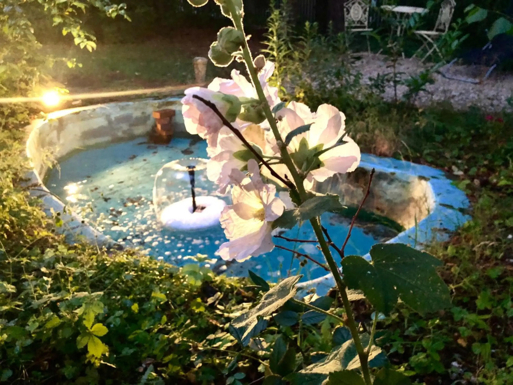 Hotel photo 31