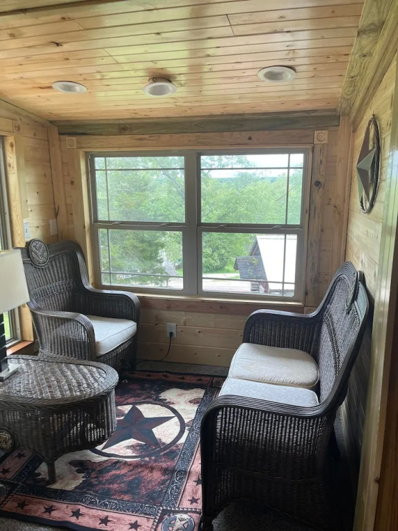 Meramec River Resort - фото 7