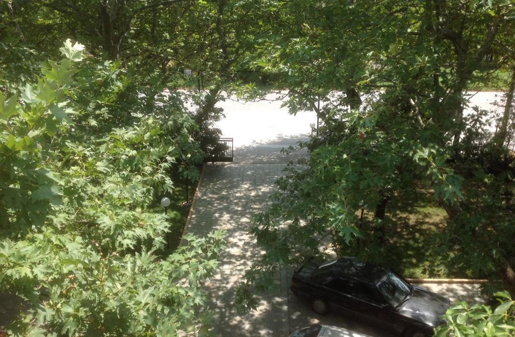 gallery_image_hidden_11