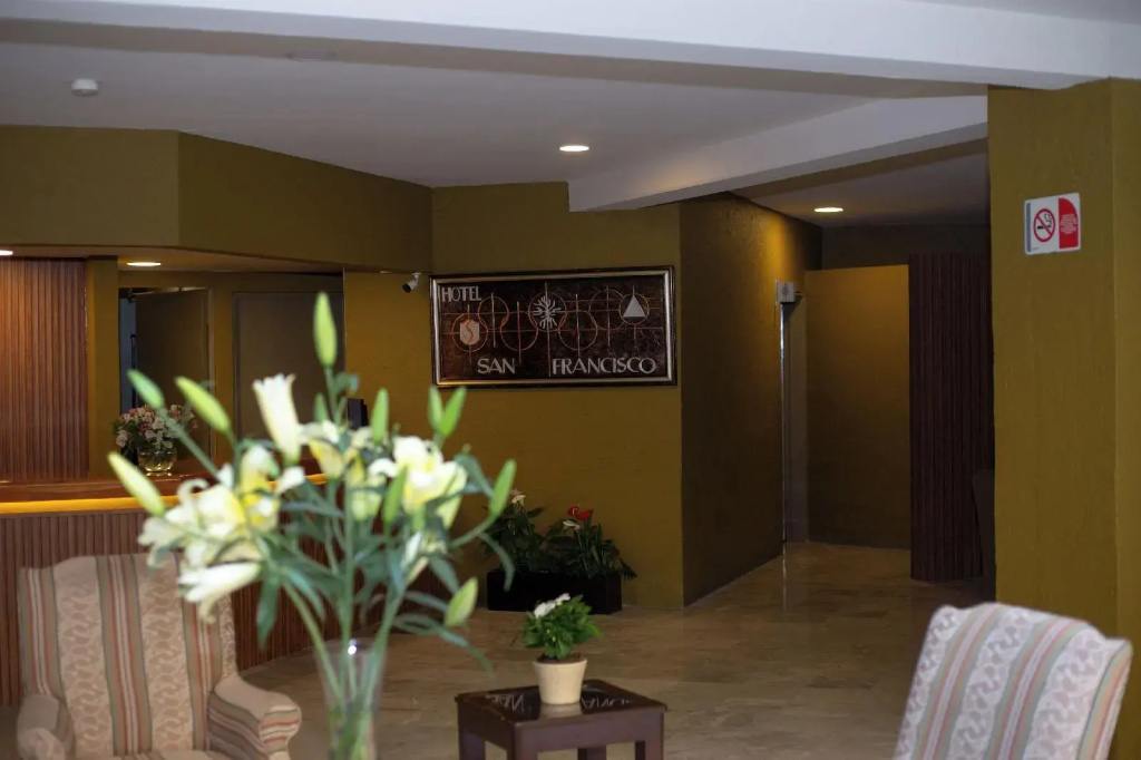 Hotel San Francisco Toluca - Général