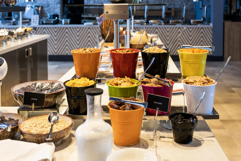 Radisson Blu Hotel, Ankara - Général