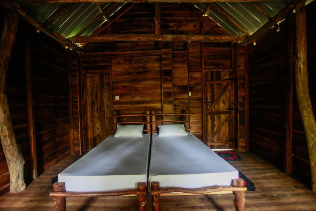 Ella Eco Lodge