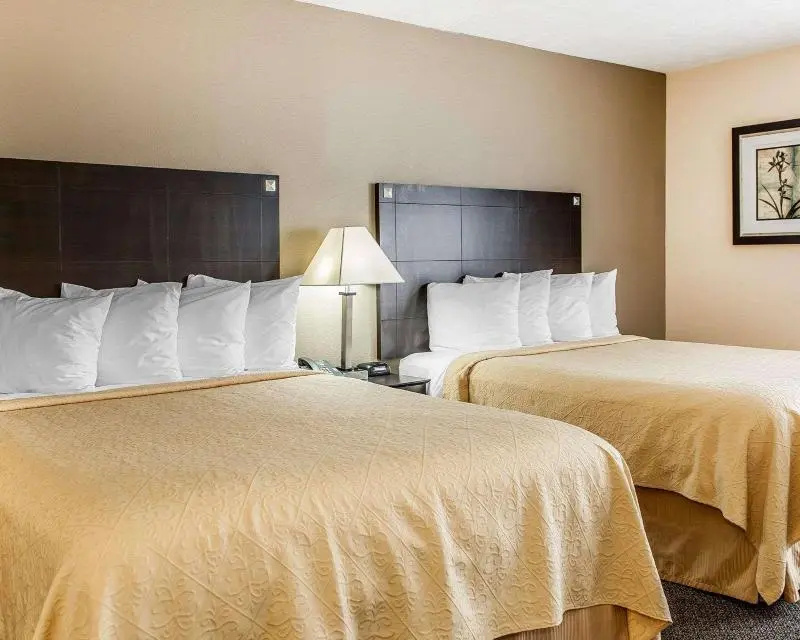 Quality Inn & Suites  Mattoon Area - Chambres