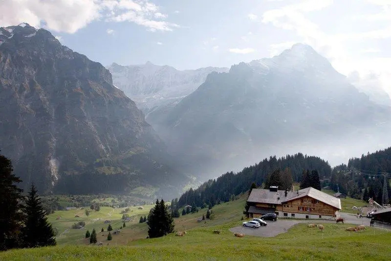 Alpinhotel Bort - Chambres