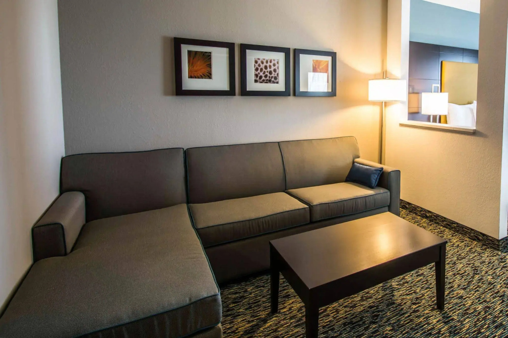 Comfort Suites Fort Lauderdale Airport South & Cruise Port - Général
