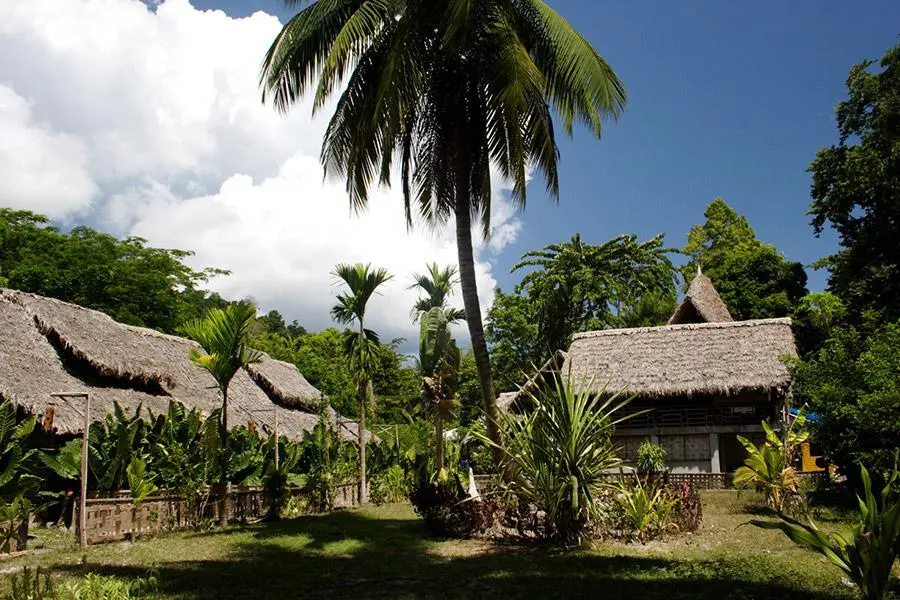 Wild Orchid Resort - Havelock Island