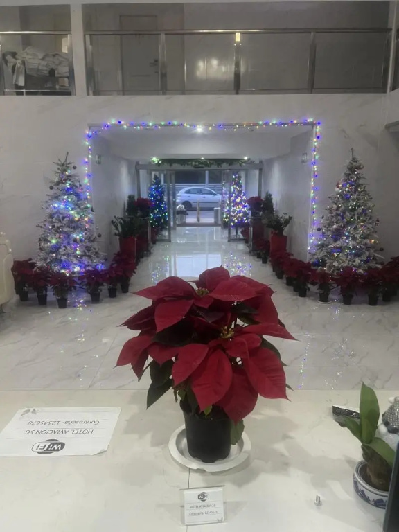 Hotel photo 10
