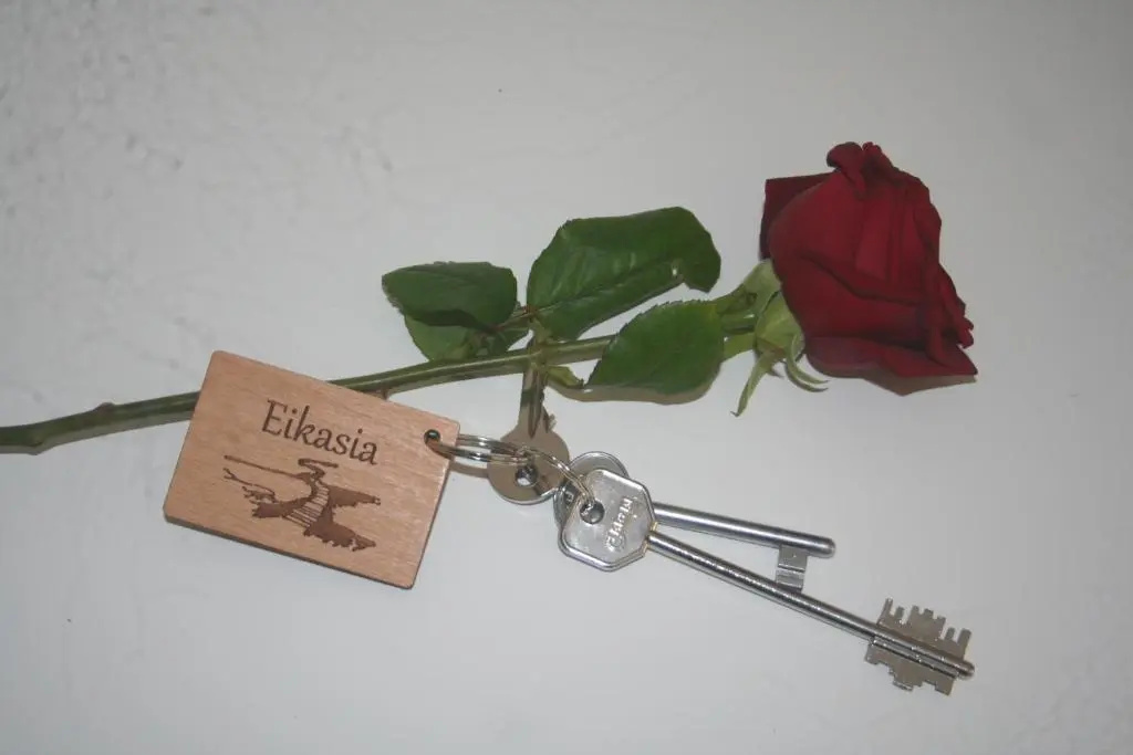 Deluxe Double room with balcony (full double bed)