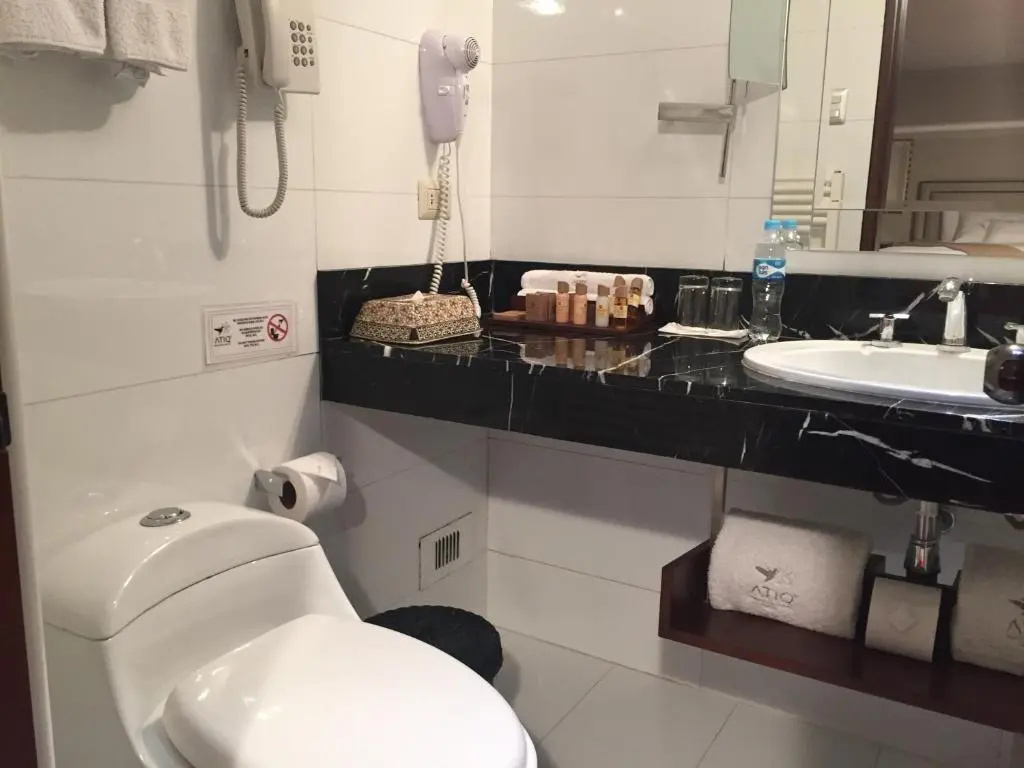 Atiq Boutique Hotel - Général