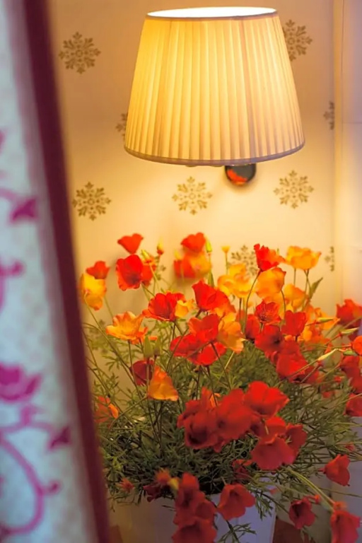 Hotel Carlton - Chambres