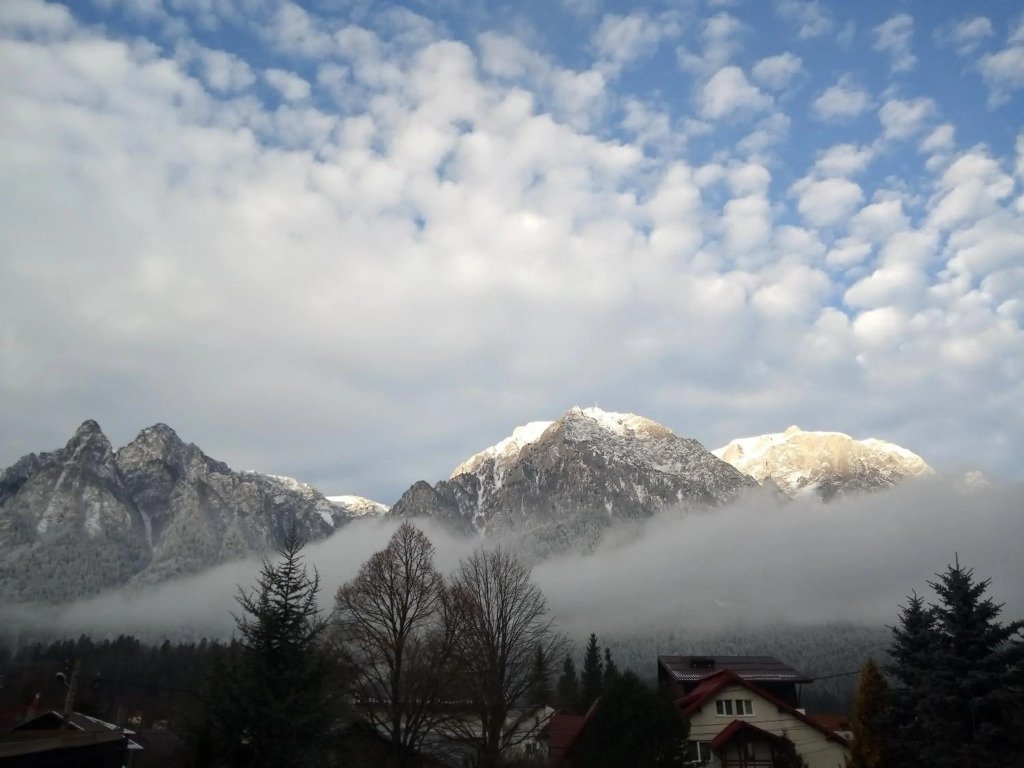 Freya House - фото 18