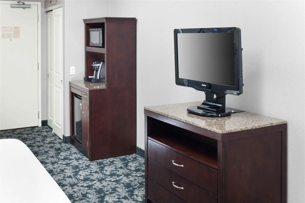 Hilton Garden Inn Detroit/Novi - Chambres