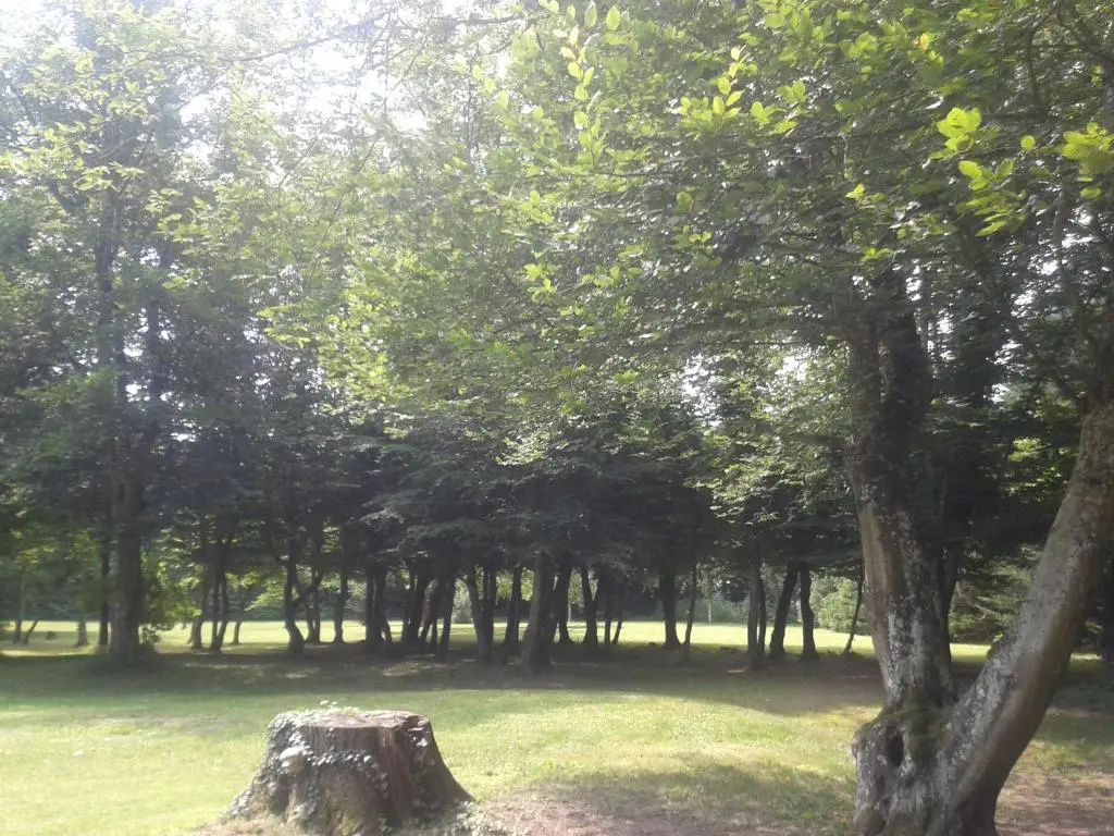 La Passagère