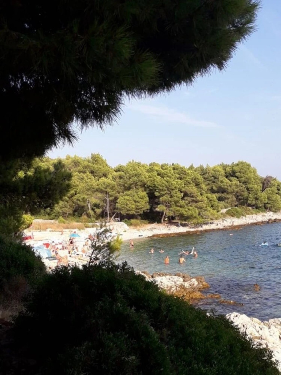 Beach & Waterfront