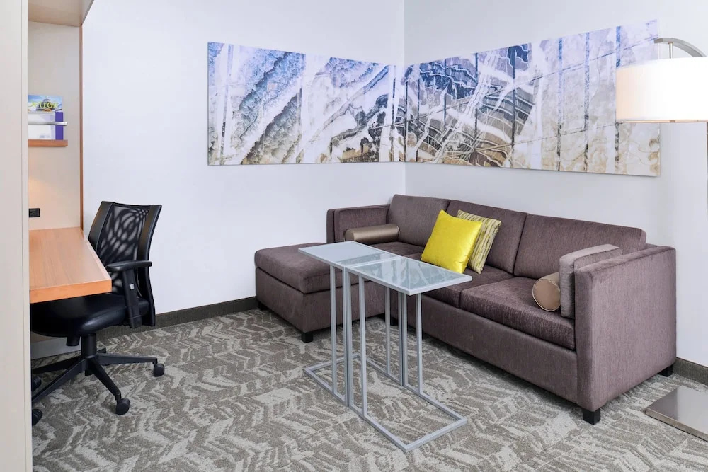 SpringHill Suites by Marriott Detroit Metro Airport Romulus - Chambres