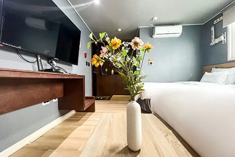 Standard Double Family room with city view (twin beds)