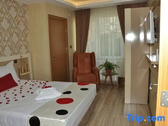 Standard Double room with street view (full double bed)