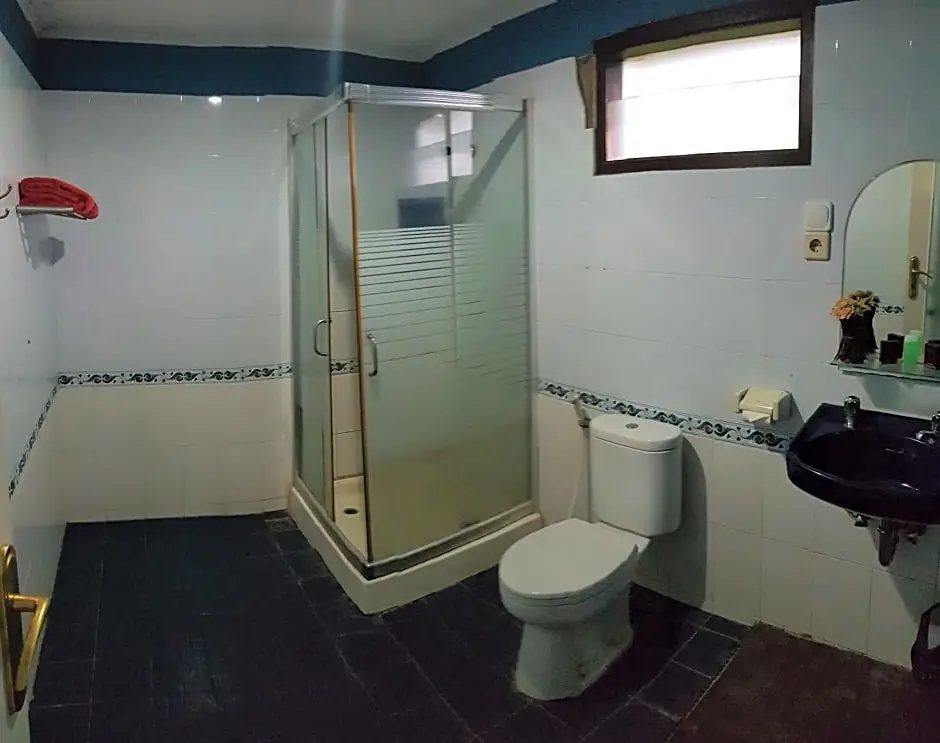 Deluxe Double room (full double bed)