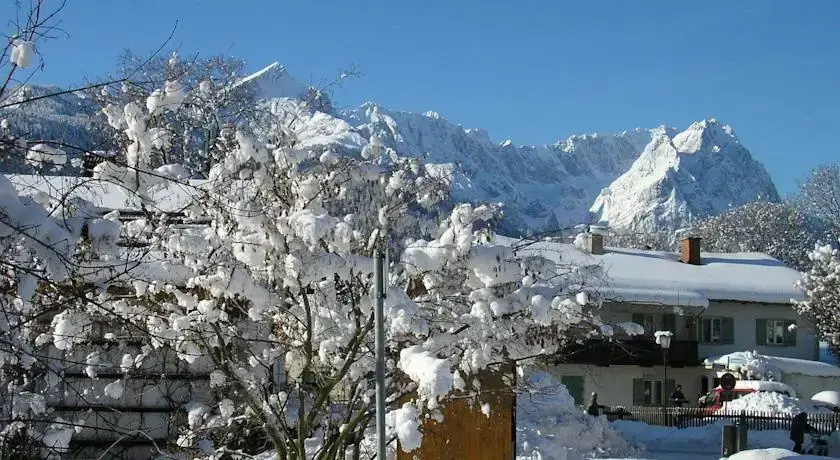 Alpin - Général