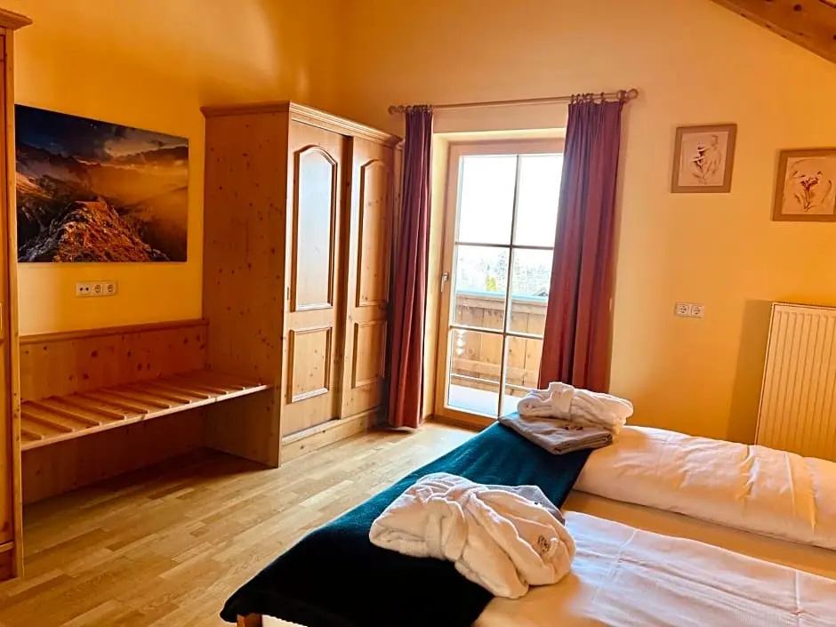 Standard Double room with mountain view (full double bed)