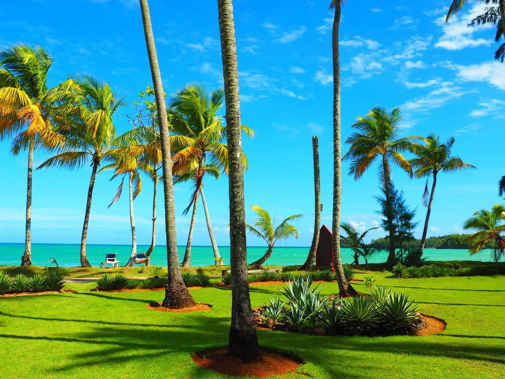Casa Grande Beach Hotel - Général