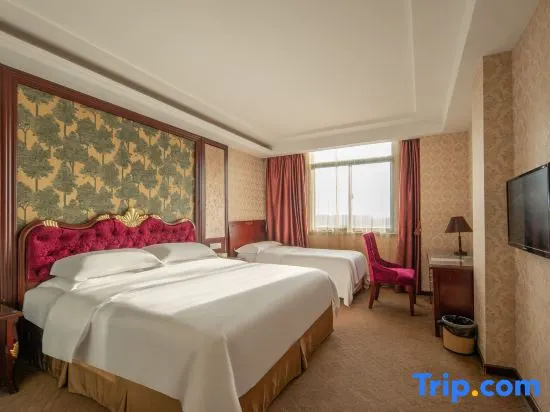 Vienna Hotel Shanghai Pudong Airport Chuansha Branch - Chambres