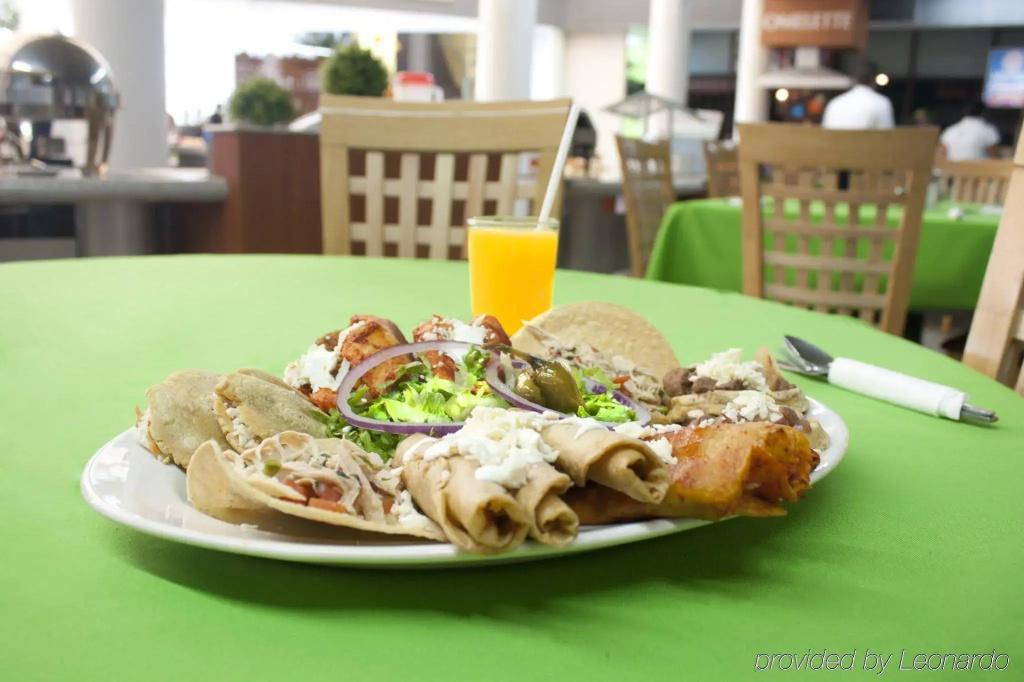Holiday Inn Irapuato - Général
