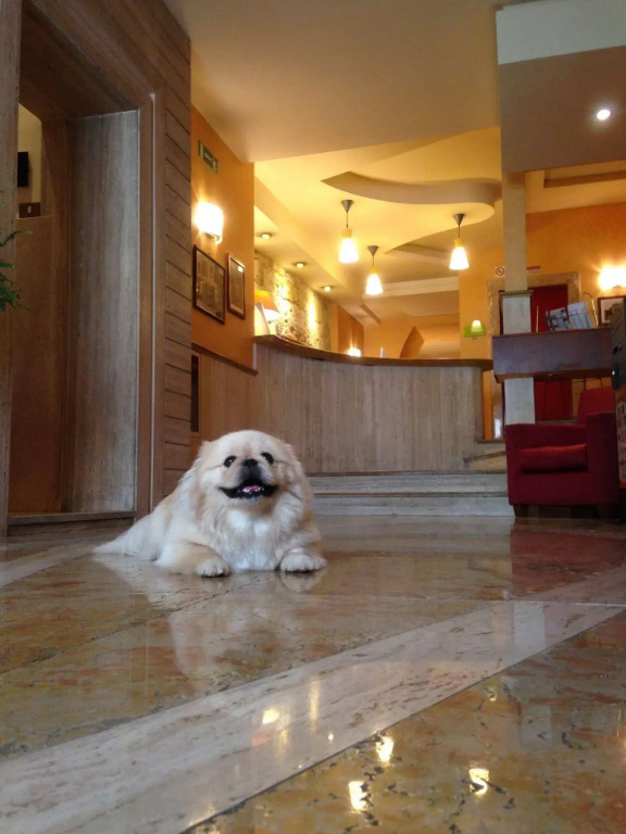 Hotel photo 24