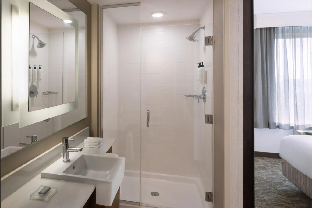 SpringHill Suites Orlando at FLAMINGO CROSSINGS® Town Center/Western Entrance - Général