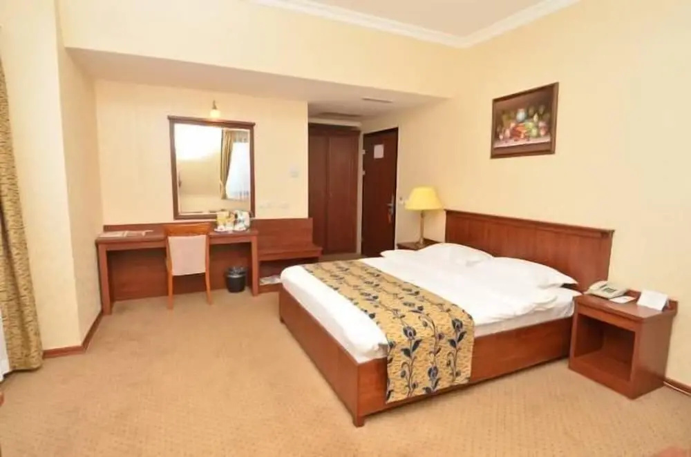 Akgun Elazig Hotel - Chambres