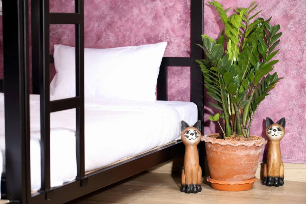 Hotel photo 25