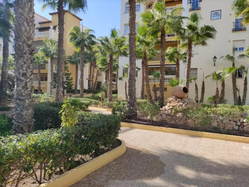 Gala Mar Torrevieja - Général