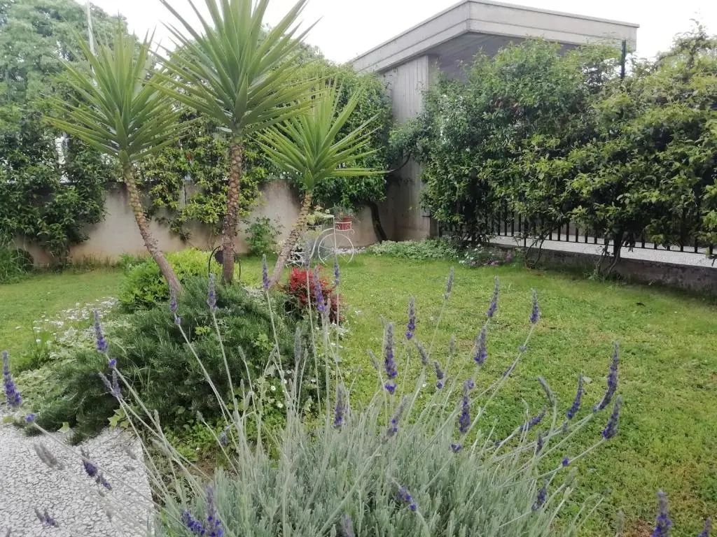 A&G Apartment