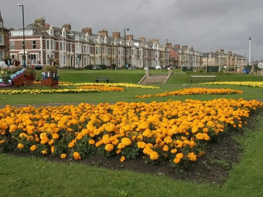Seafront Apartments