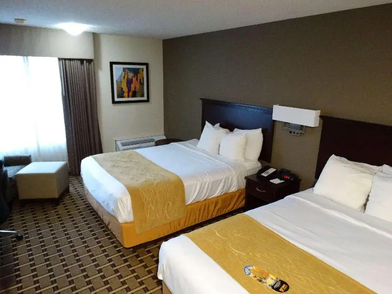 Comfort Inn & Suites - Chambres