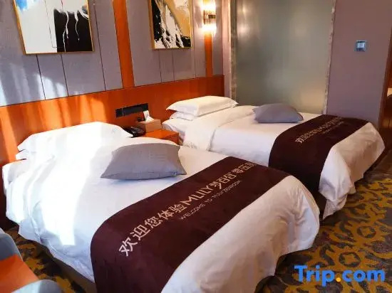 Tianyou Hotel - Chambres