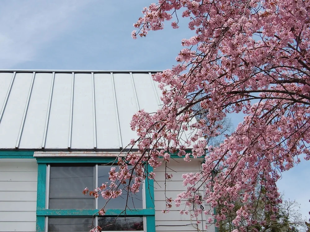 Onsen Pension Hanasakiyama