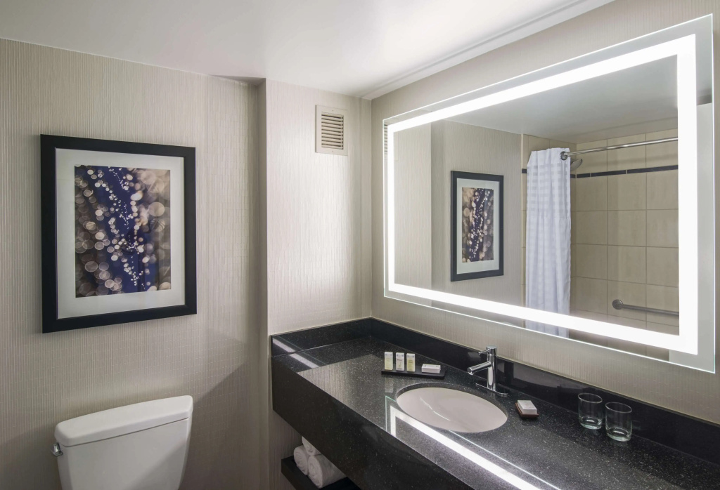 Embassy Suites by Hilton Chicago Downtown Magnificent Mile - Général