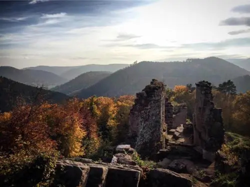 Voir la photo 2 — Meublés de Tourisme Heidelbeere